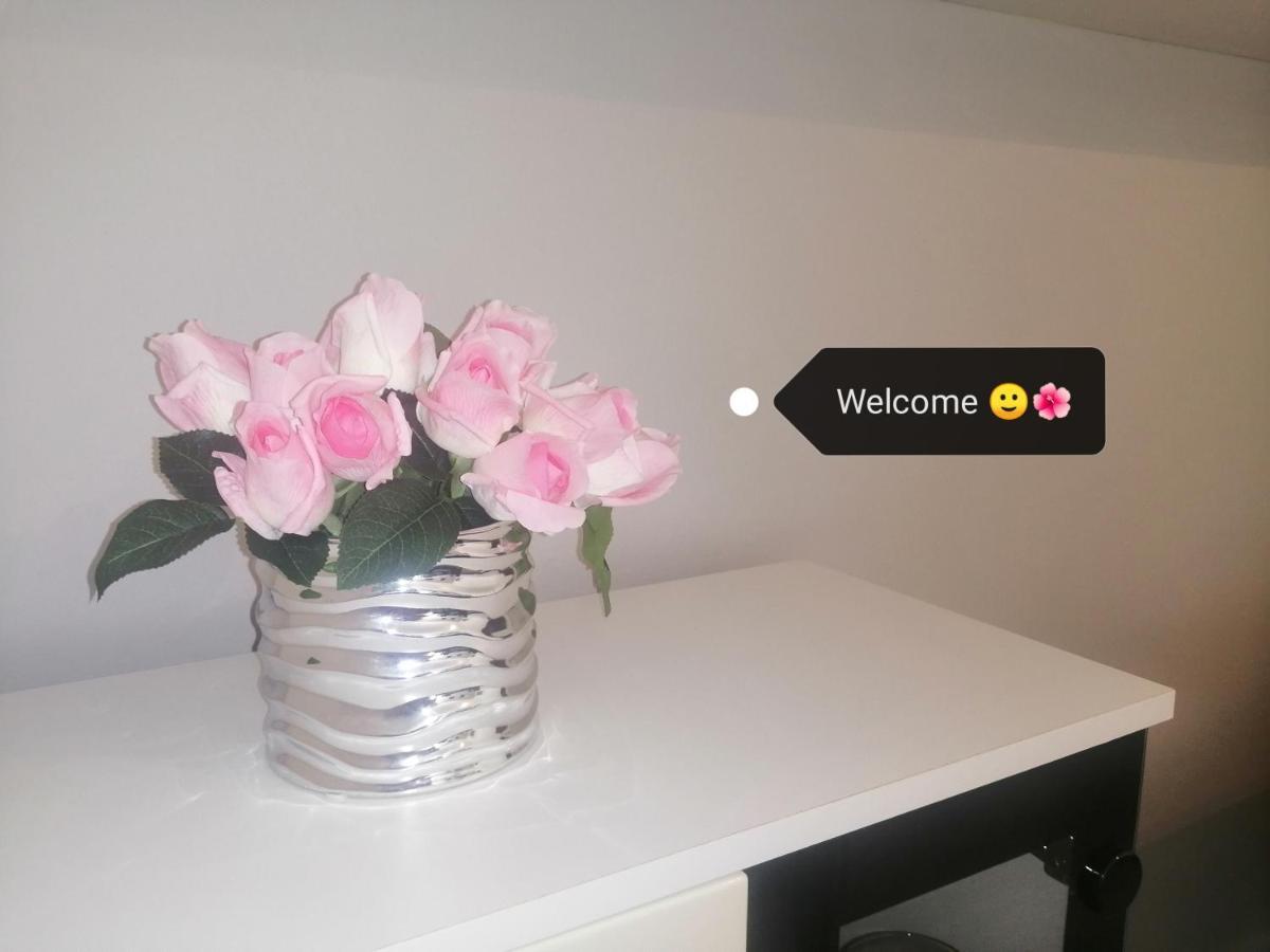 Apartment Vera, 80 M From The Sea Novigrad  Ngoại thất bức ảnh